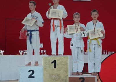 Koshinkan Cup Brandenburg 2017